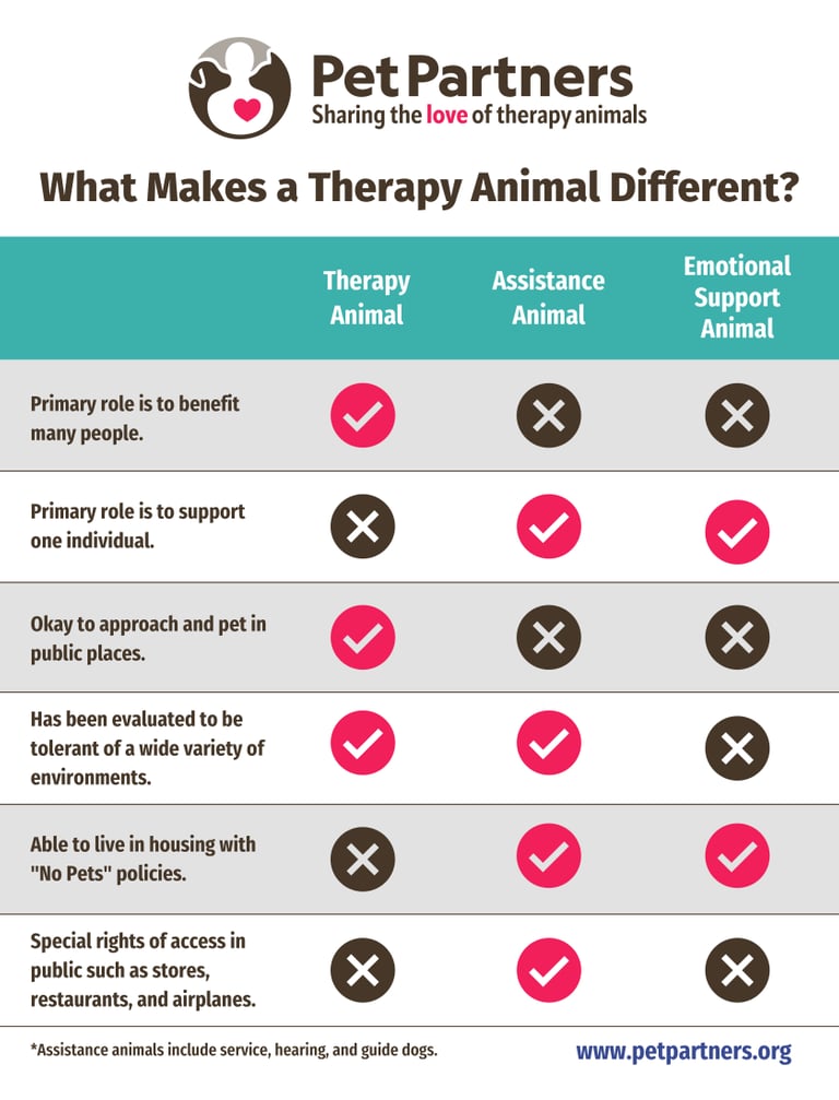 Pet Partners Graphic "What makes a therapy Animal different?"
