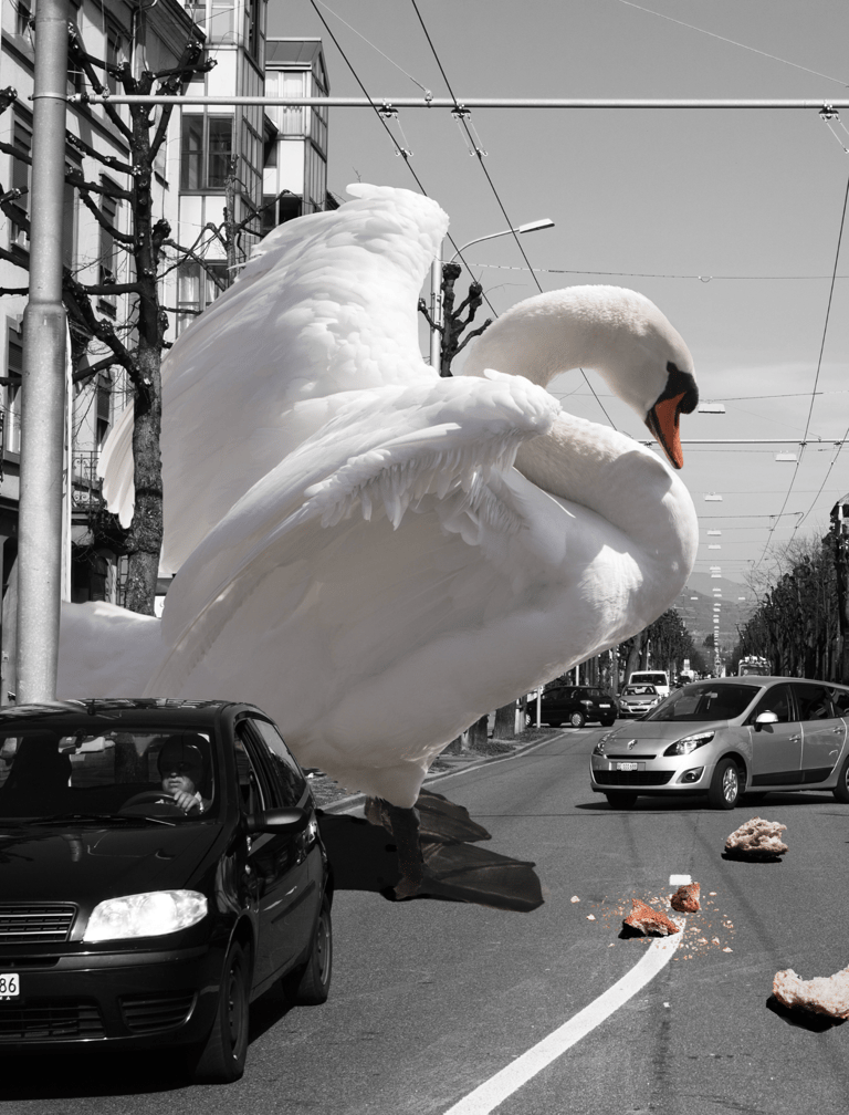 Fotomontage mit Schwan in der Stadt – Beispiel aus dem Kurs Photoshop Composing Basel.