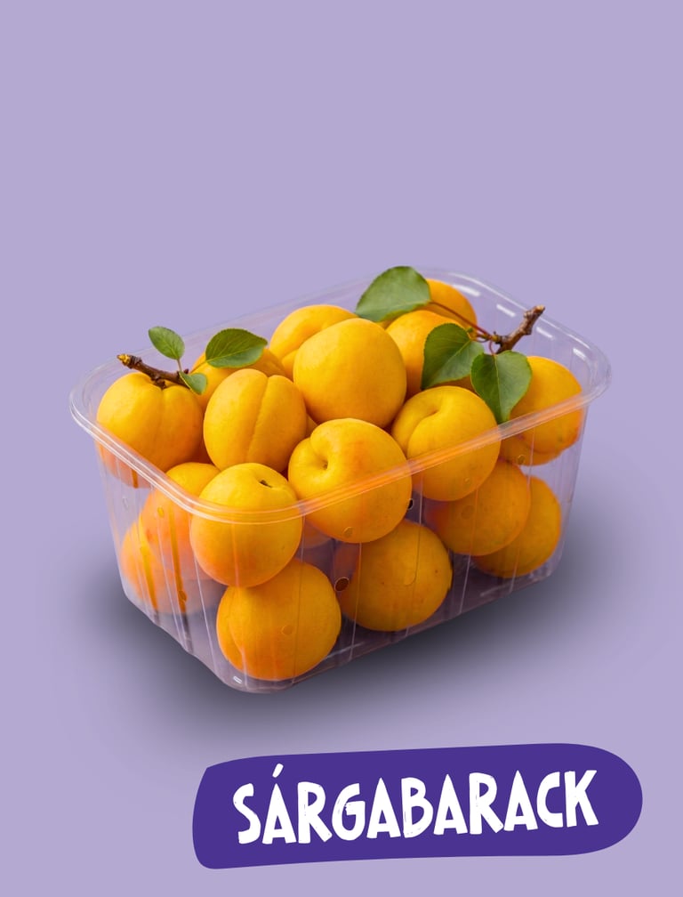 Friss, érett sárgabarackok műanyag tartályban, lila háttér előtt.