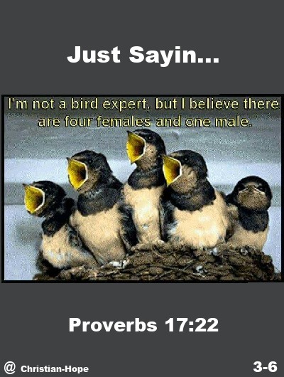 The Lord Has A Sense of Humor