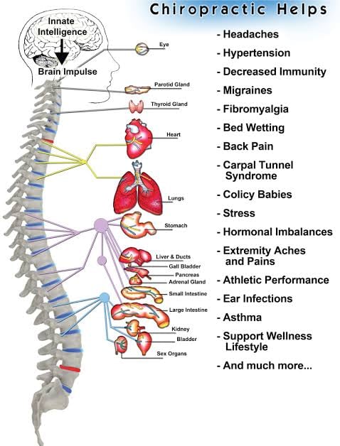 Vetrivel Health center best chiropractic and varamam theraphy 