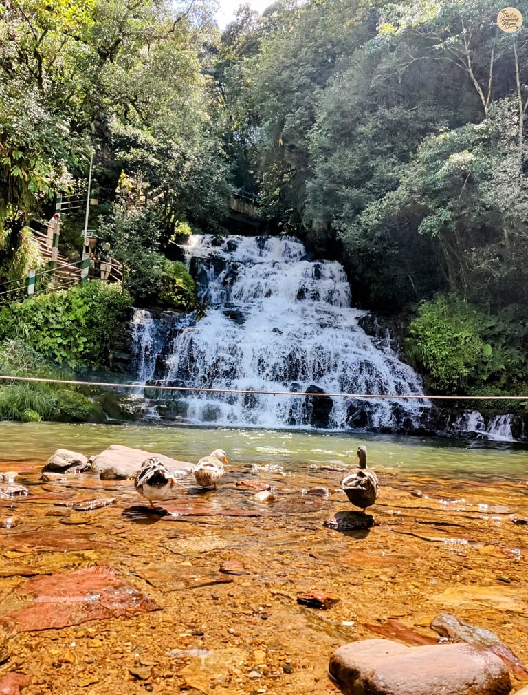 Elephant Falls, Third Tier – Shillong’s Grand Waterfall Finale in Full Flow