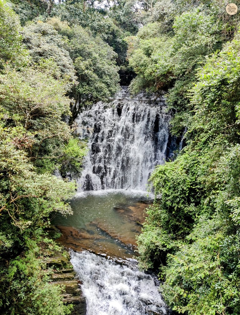 Elephant Falls, First Tier – The Hidden Beginning of Shillong’s Three-Step Wonder