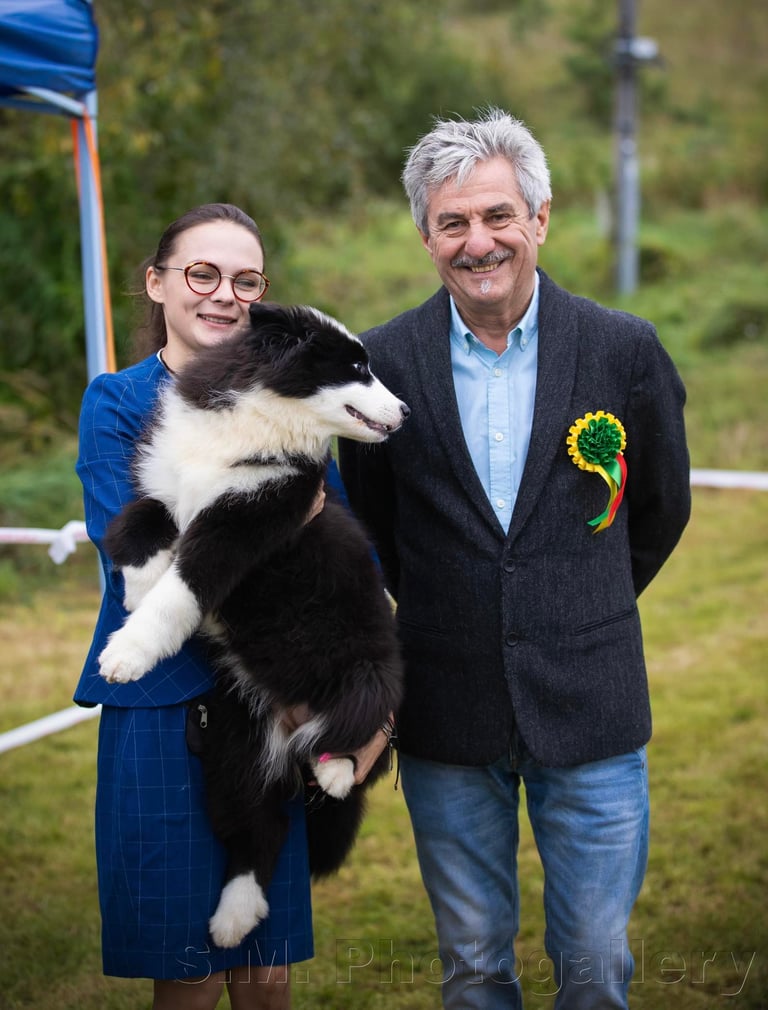 Yakutian laika puppy