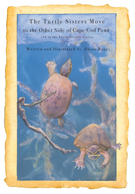 Cover image for The Turtle Sisters Move to the Other Side of the Cape Cod Pond by Susan Baur.