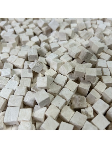 Photo de Fu ling (poria cocos) champignon en cube blanc