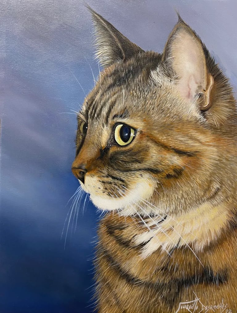 Portrait of a cat named Sardine, painted by the painter Mireille Desroches