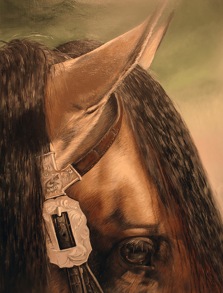 Horse portrait, commissioned by Corina Schumacher, artist Mireille Desroches