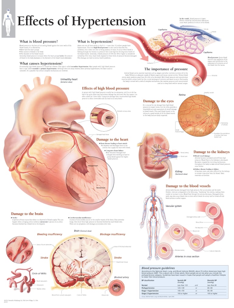 PESTICIDES SANTÉ MALADIES CARDIOVASCULAURES