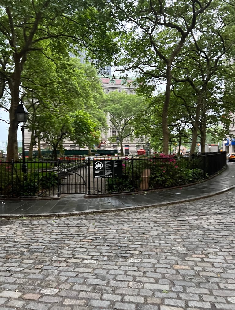 Sunrise Walk at Bowling Green New York City