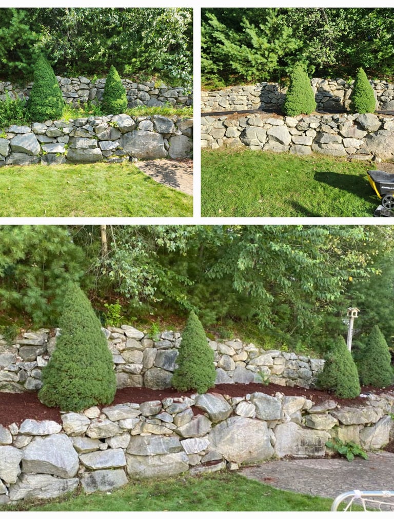 newly installed mulch in landscape