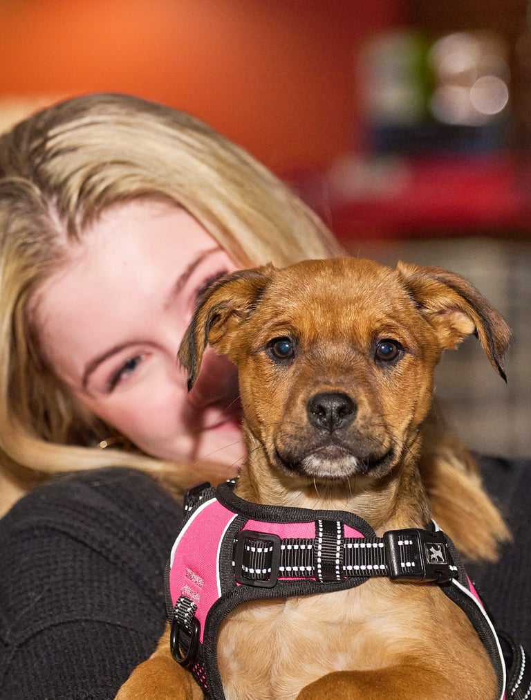 a woman in a black sweater holding a puppy in her arm