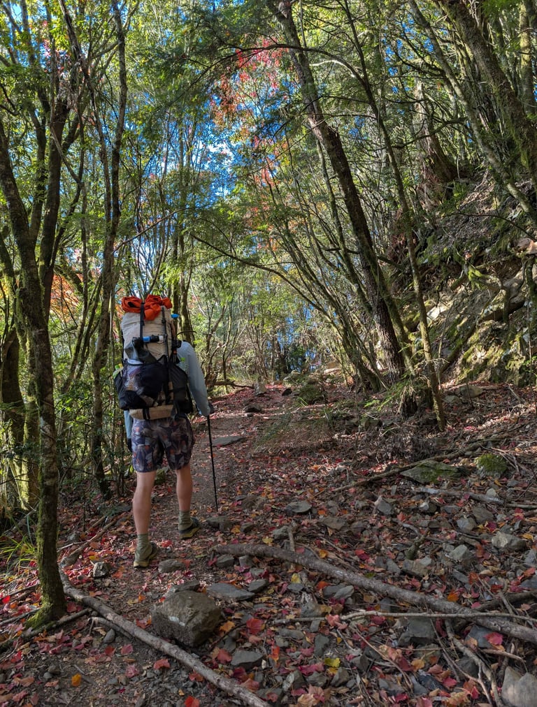 A backpacker with hiking poles walks along a rocky forest trail covered in autumn leaves.