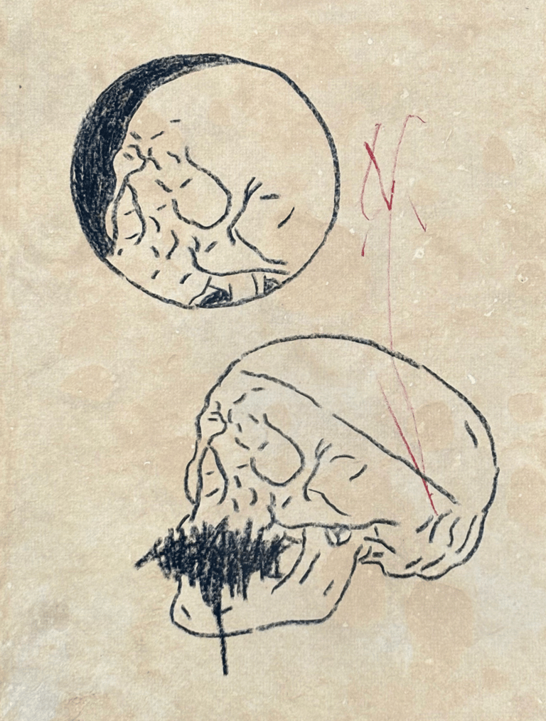 Rough sketch of two human skulls with no mouth
