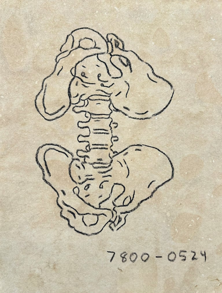 rough sketch of a reflected human pelvis and computer code made with wax pencil