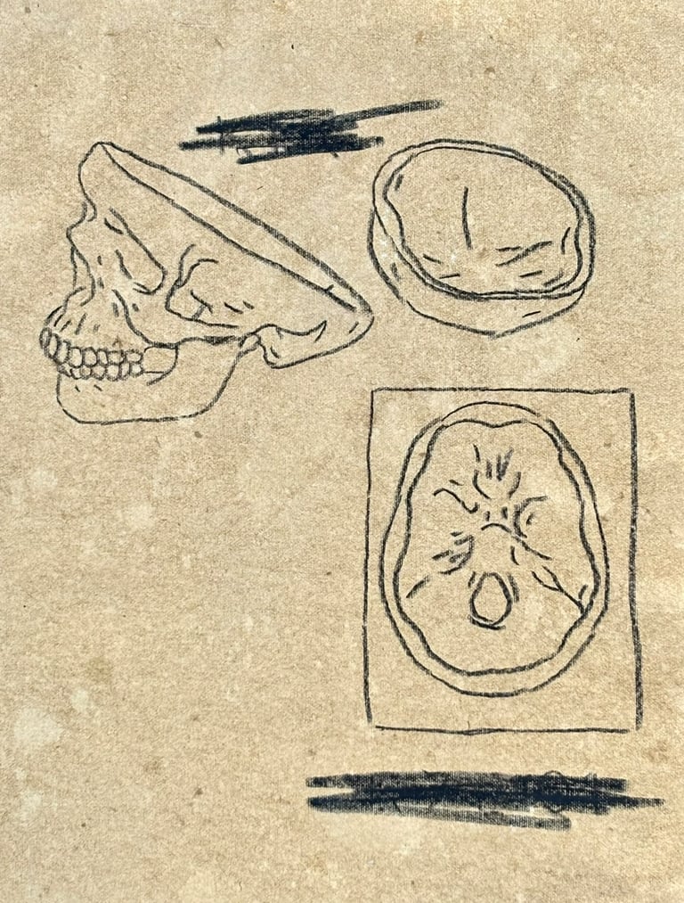 Rough sketch studying the inside of the human skull
