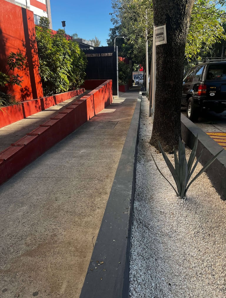a tree that is sitting on the side of a road
