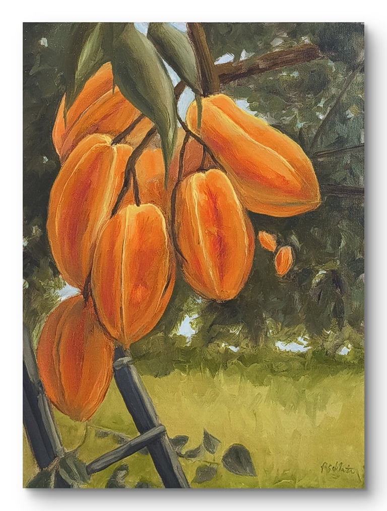 Carambola Glow, 12x16"