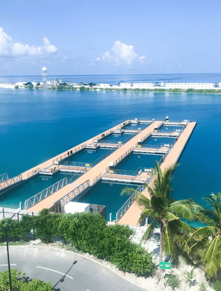 floating deck, pontoon, marina equipment, decking