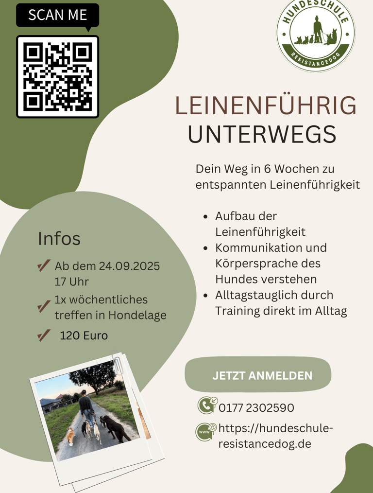 Flyer für den Leinenfuerigkeitskurs von Hundeschule ResistanceDog in Braunschweig