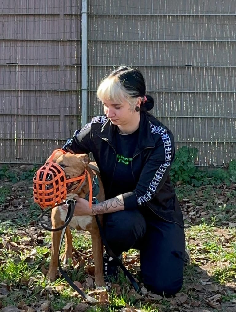 Mel mit abgesichterm Hund der einen Maulkorb trägt