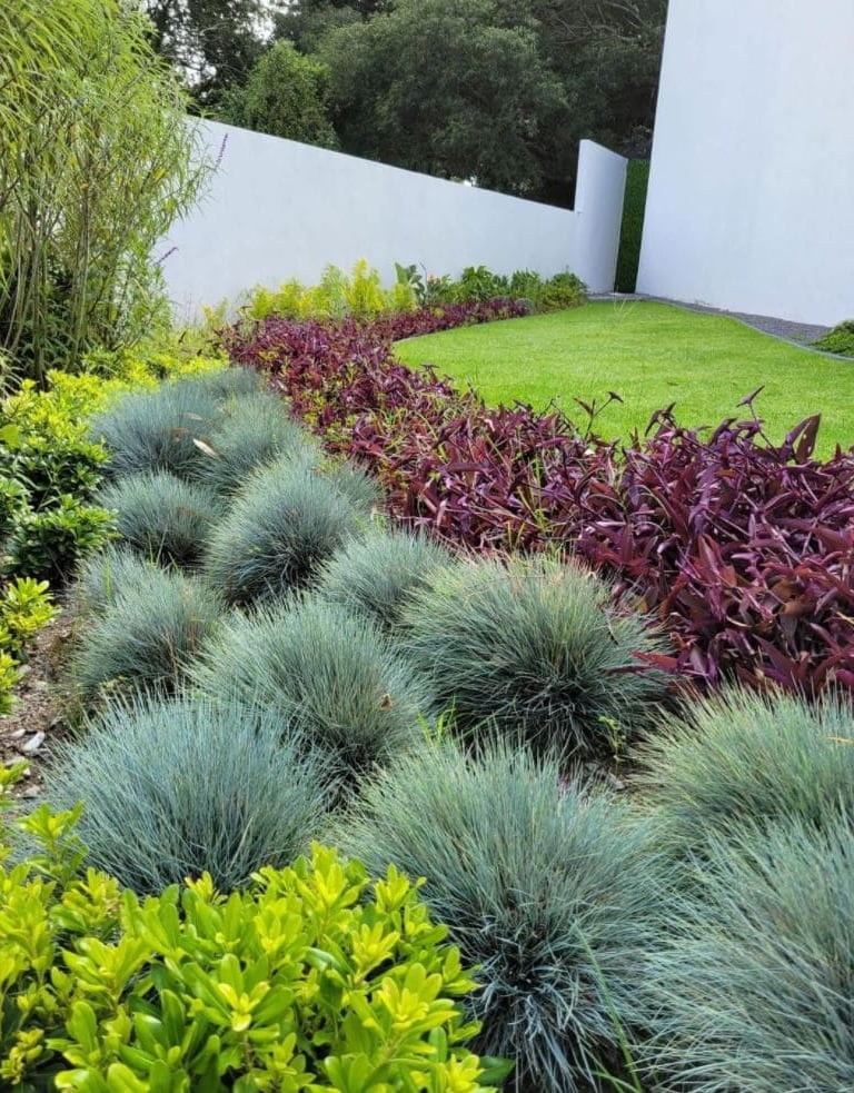 a garden with a white fence and a white fence