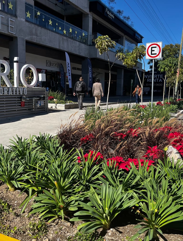 a sign that says dario on the side of a building