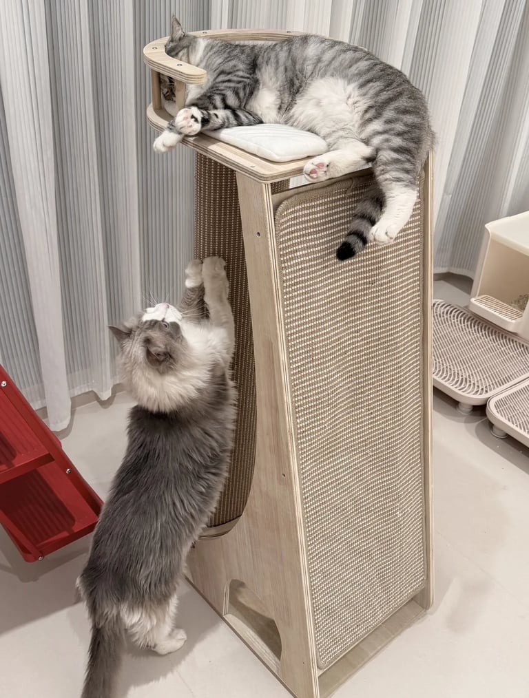 Two cats using a tall wooden scratching tower with woven panels, soft perch and compact vertical design.