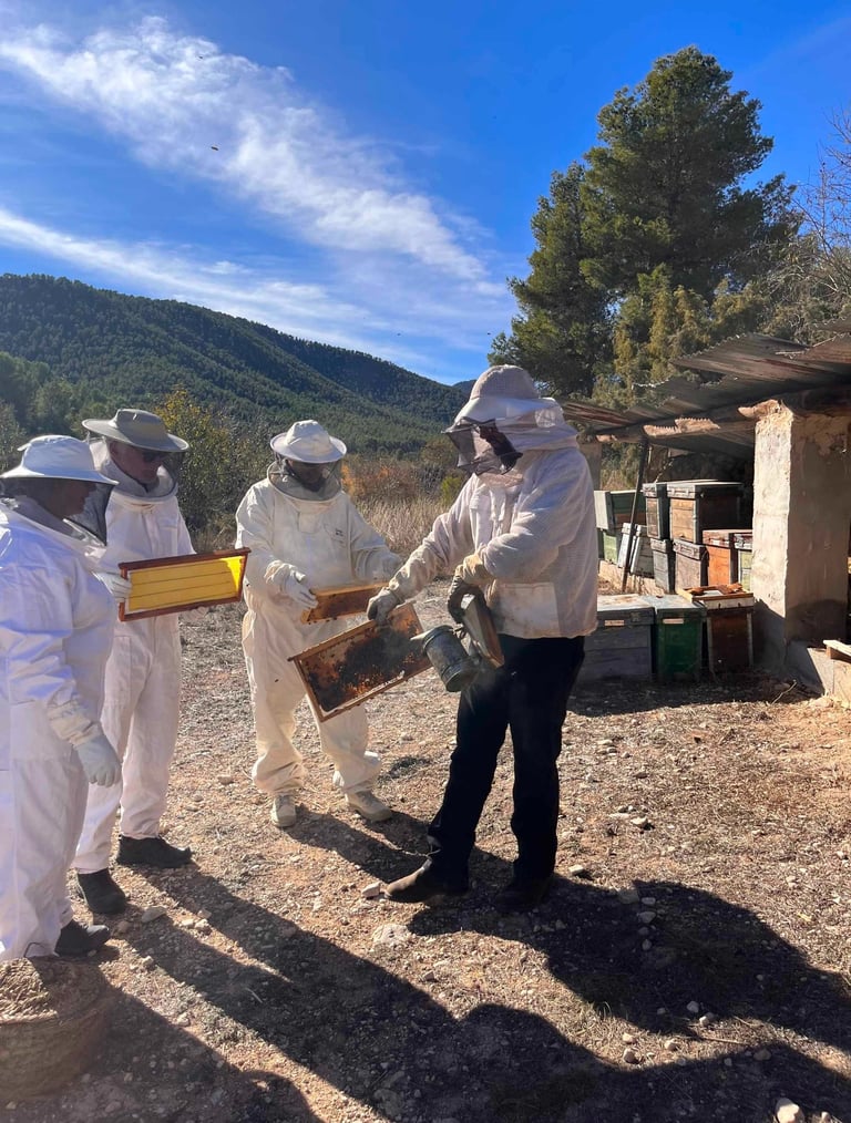 dagtour bijen imker bullas 