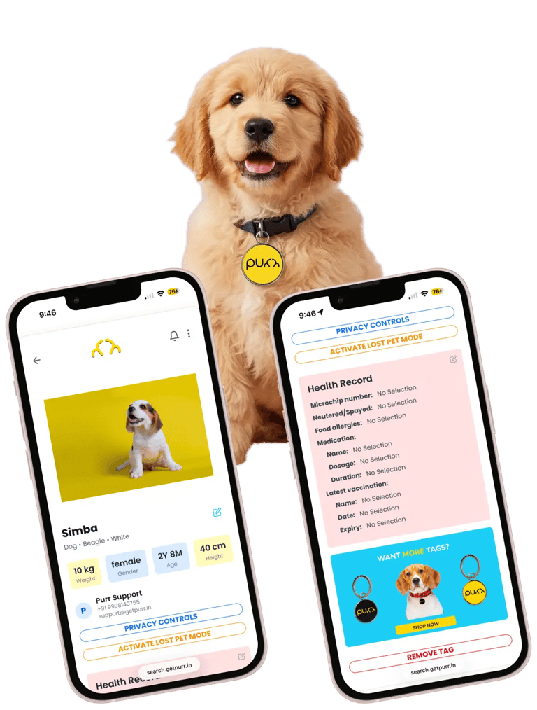Purr Tag on dog collar with app screenshot