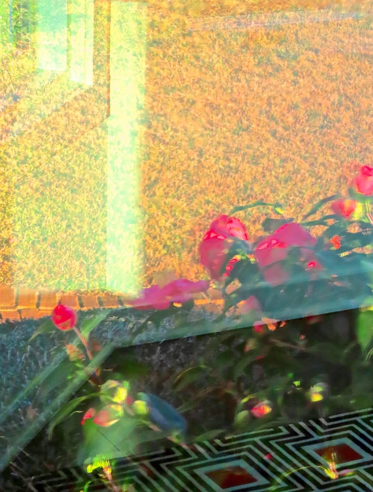 "4 Jutta" © 2025 Heinz Lechner