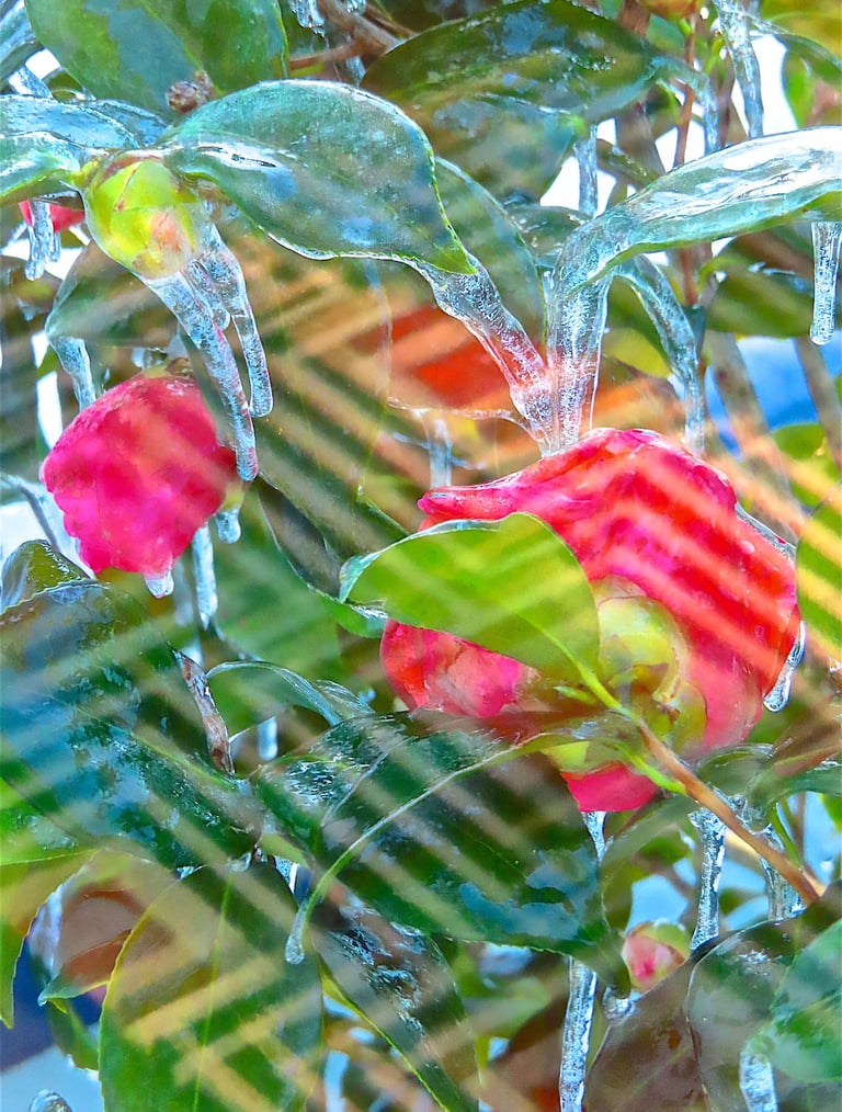 "4 Karin" © 2025 Heinz Lechner