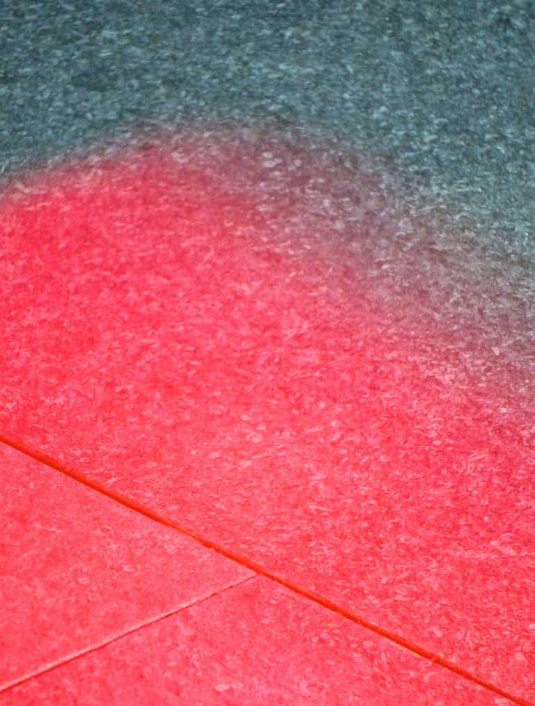 "Günter Brus" © 2019 Heinz Lechner