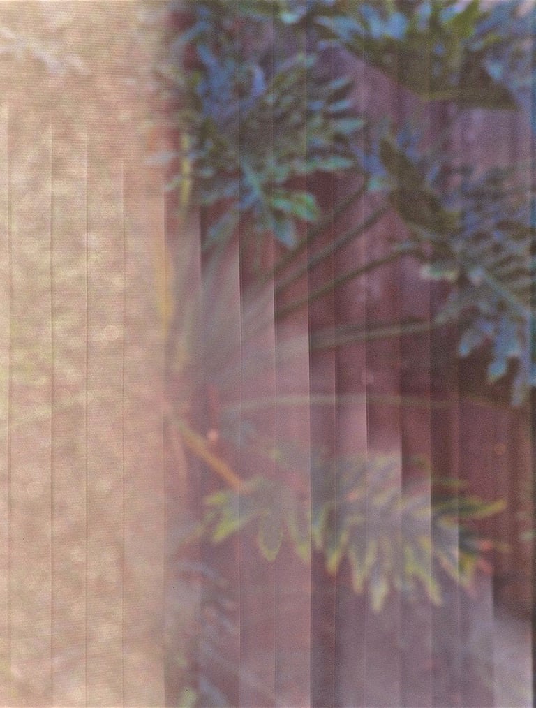 "Liebespflanze" © 2002 Heinz Lechner