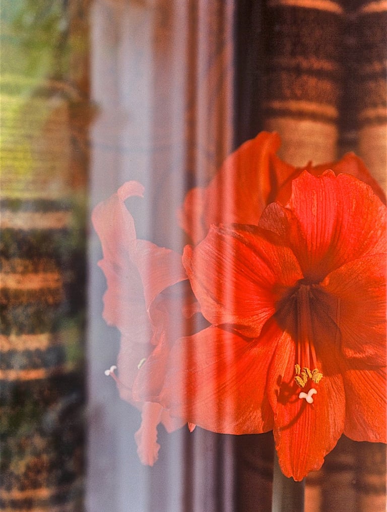 "Omapat" © 1989 Heinz Lechner