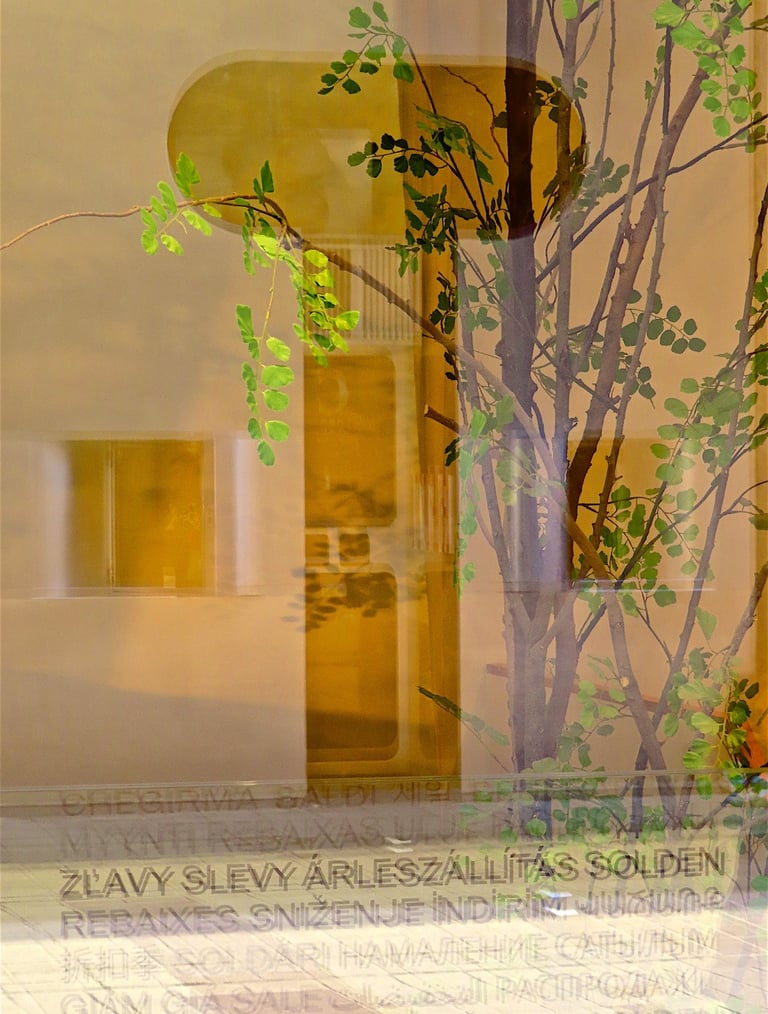 "Vie 23" © 2024 Heinz Lechner