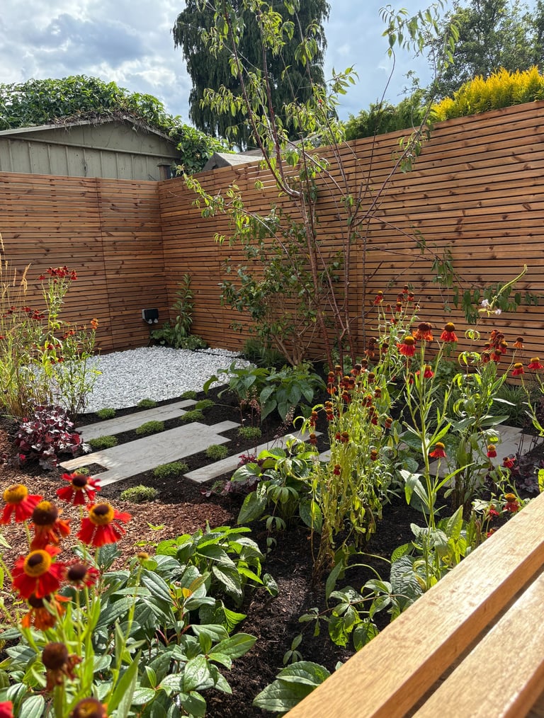 Seasonal planting scheme in South East London urban garden