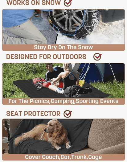 people and dog using outdoor blanket