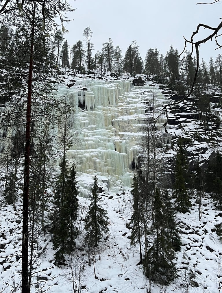 Frozen Lapland Landscape