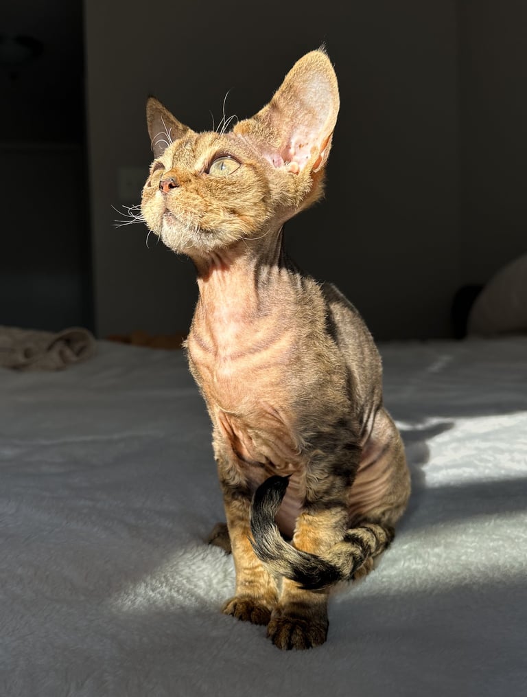 Lyubov sitting on a bed