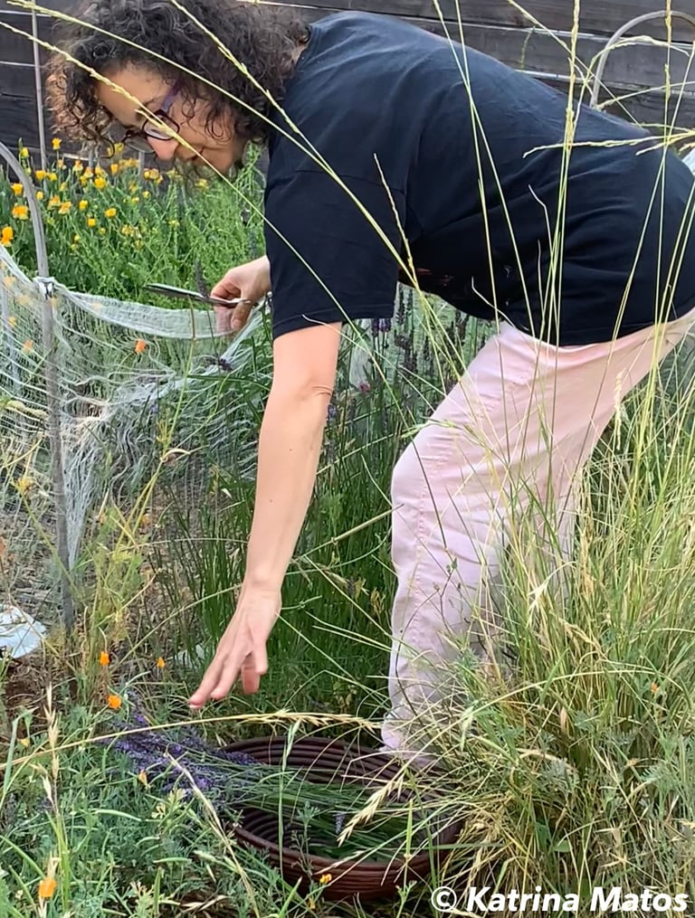 Katrina in the garden with hand outstretched towards a plant