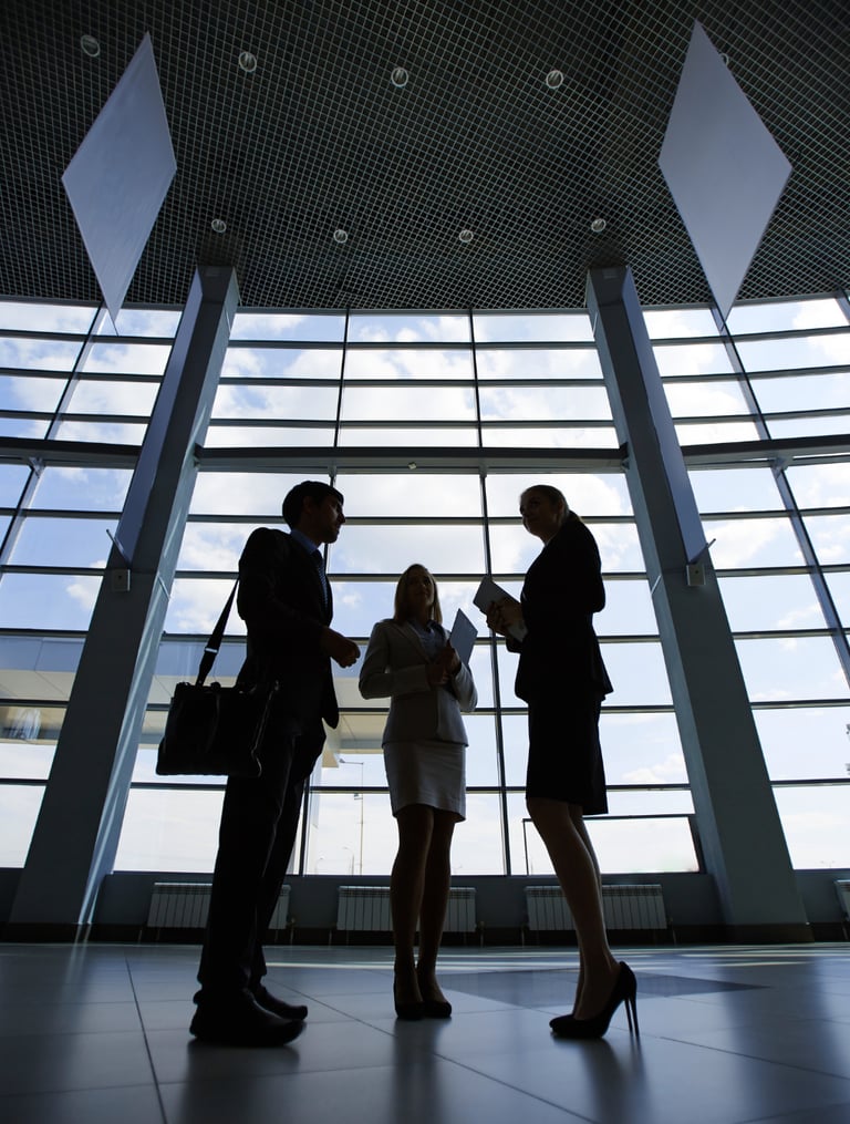 Susitikmas teisiniais klausimais