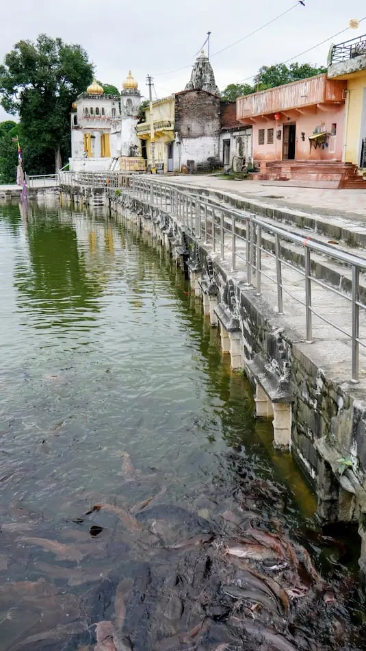 Hammirpal Lake near Kumbhalgarh, surrounded by scenic hills and peaceful natural surroundings.