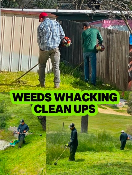 Weed abatement