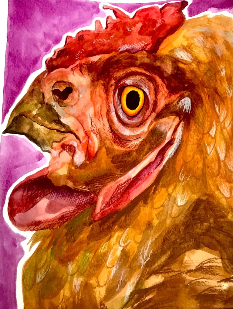 Watercolours and Colouring Pencils, A4