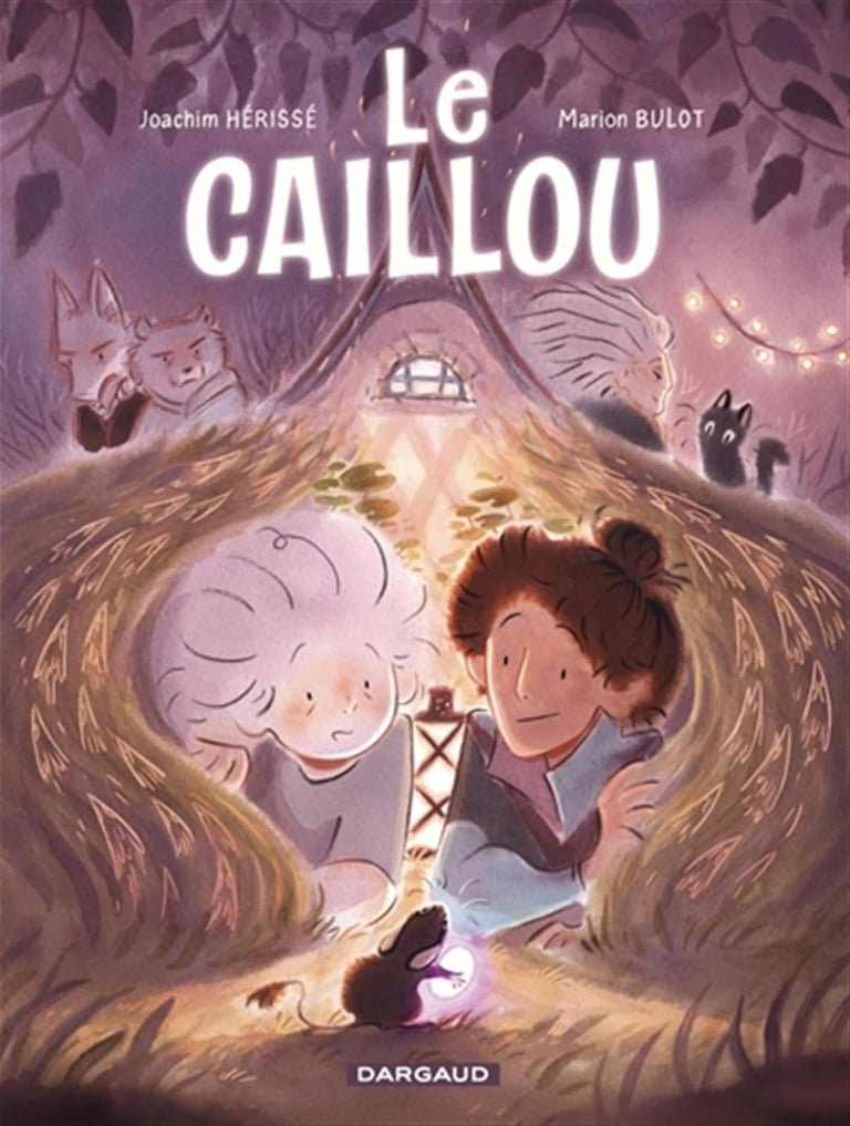 Première de couverture de la BD Le caillou