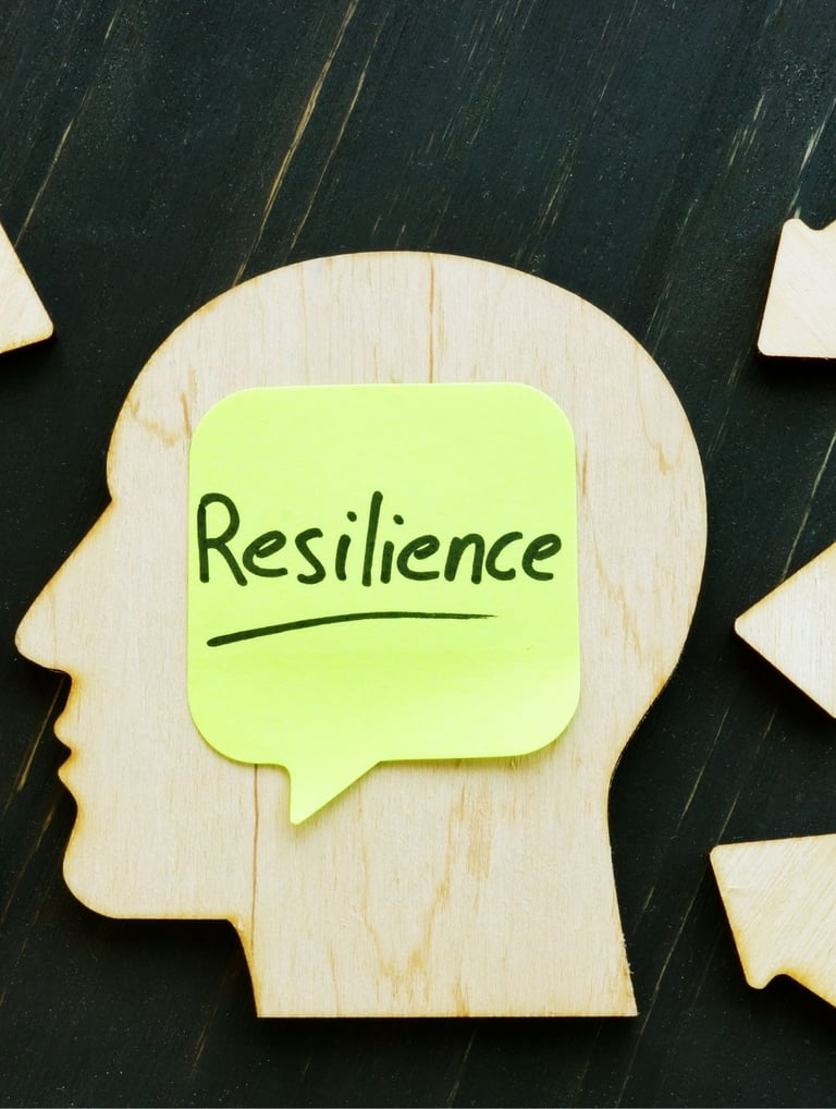 Building Resilience: Managing Stress in Professional Environments