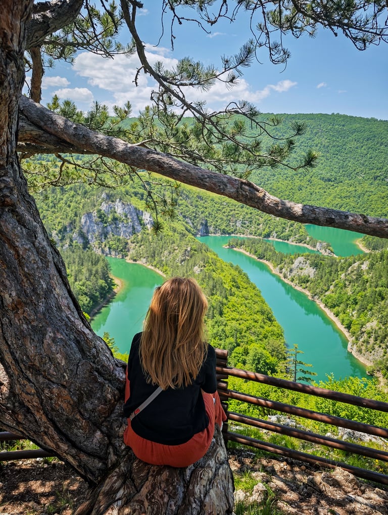 Meandri Cehotina viewpoint
