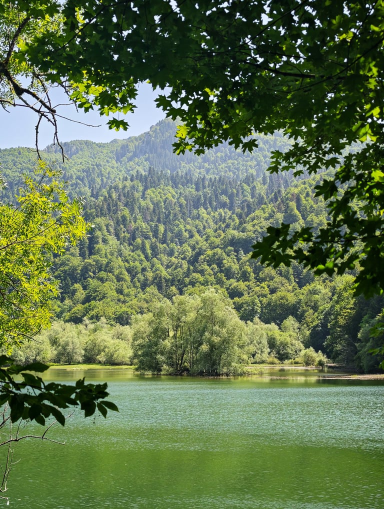 Biogradsko Lake