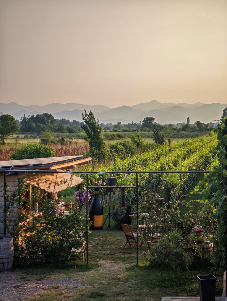Monte Grande winery Montenegro